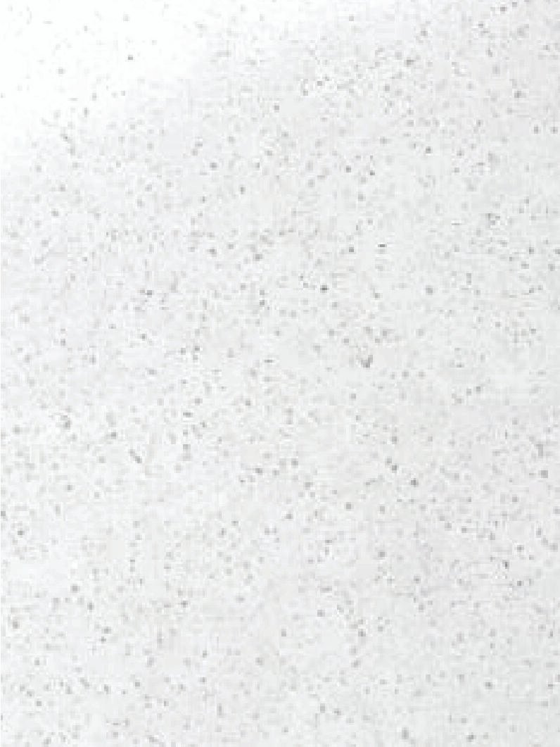 échantillon de quartz north